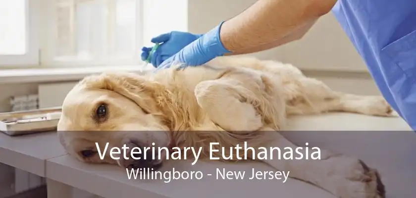 Veterinary Euthanasia Willingboro - New Jersey