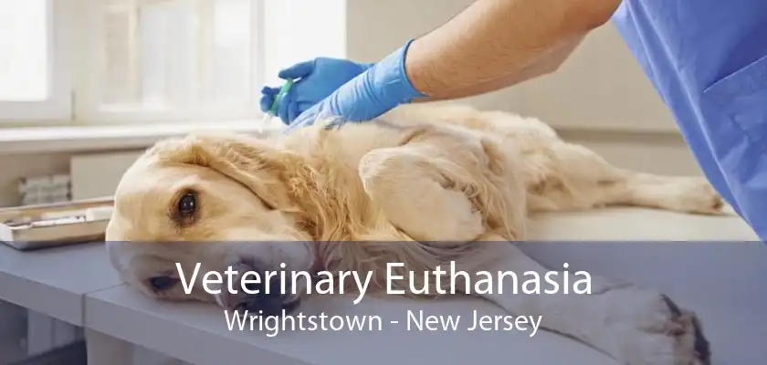 Veterinary Euthanasia Wrightstown - New Jersey